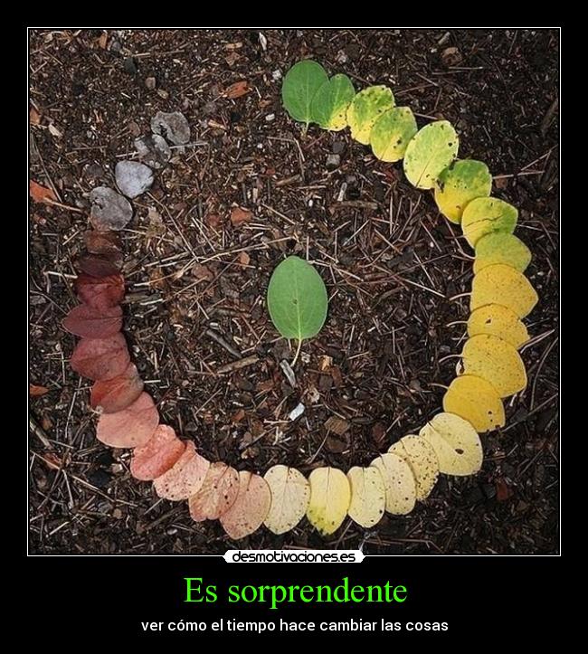 Es sorprendente - 