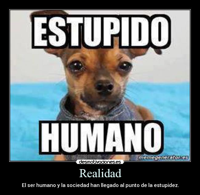 Realidad -