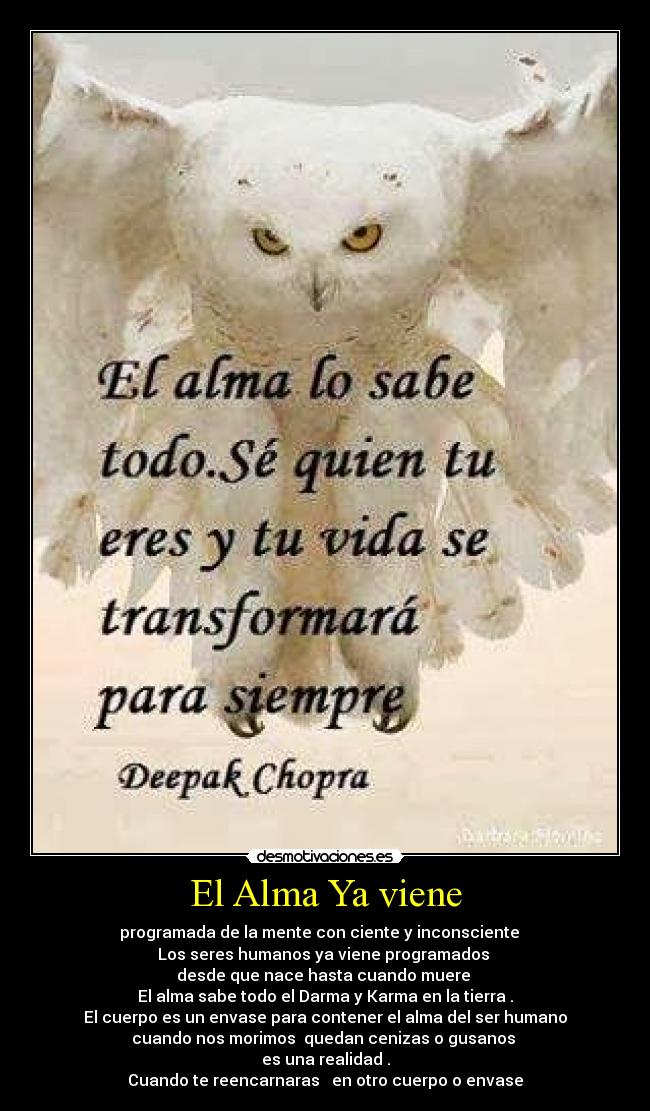 El Alma Ya viene - programada de la mente con ciente y inconsciente   
Los seres humanos ya viene programados 
desde que nace hasta cuando muere 
El alma sabe todo el Darma y Karma en la tierra .
El cuerpo es un envase para contener el alma del ser humano
cuando nos morimos  quedan cenizas o gusanos 
es una realidad .
Cuando te reencarnaras   en otro cuerpo o envase