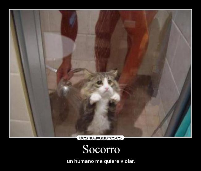 Socorro - un humano me quiere violar.