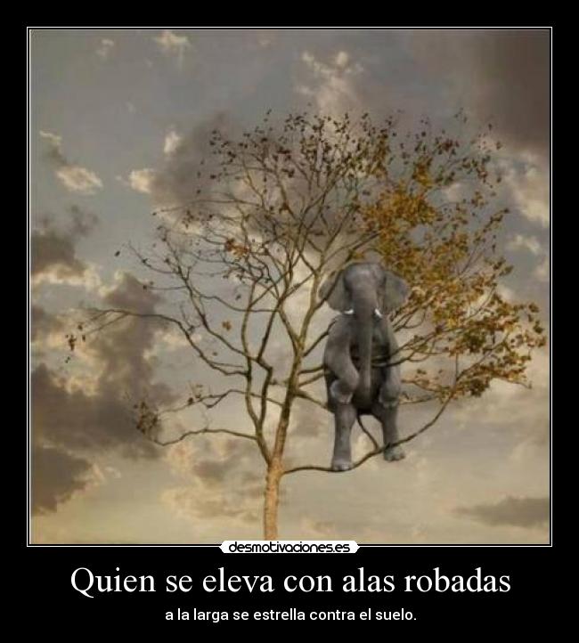 Quien se eleva con alas robadas - a la larga se estrella contra el suelo.