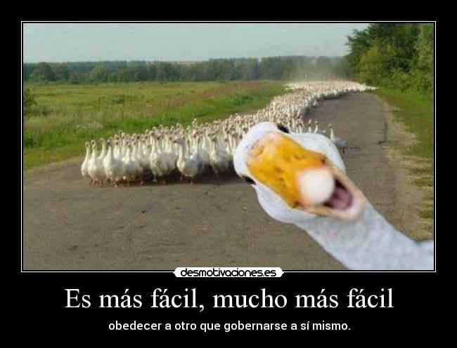 Es más fácil, mucho más fácil -