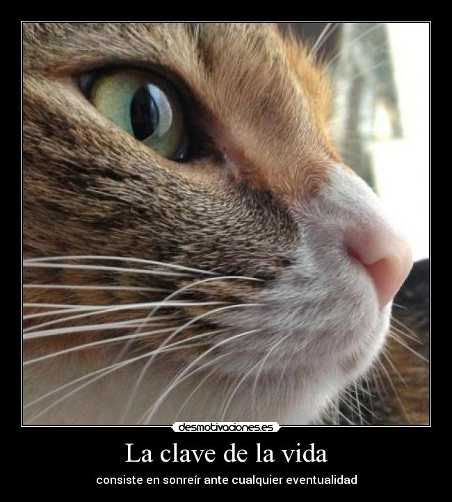 La clave de la vida - 