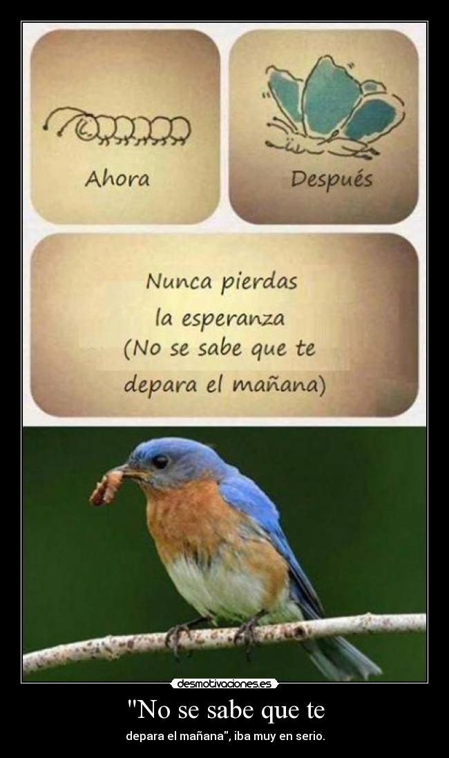 No se sabe que te - depara el mañana, iba muy en serio.