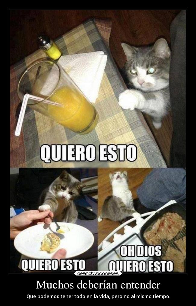 carteles imagen esta poco graciosa pero aun asi podemos interpretar mensaje serio desmotivaciones