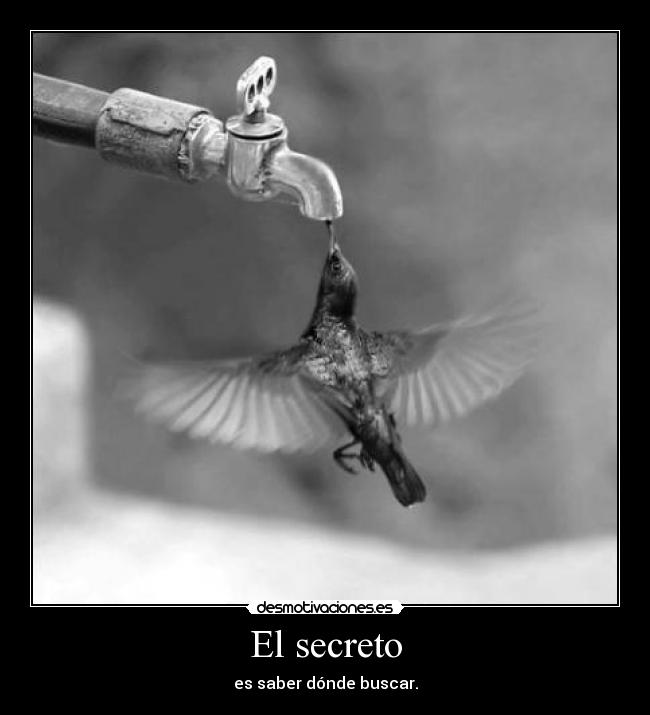El secreto - es saber dónde buscar.