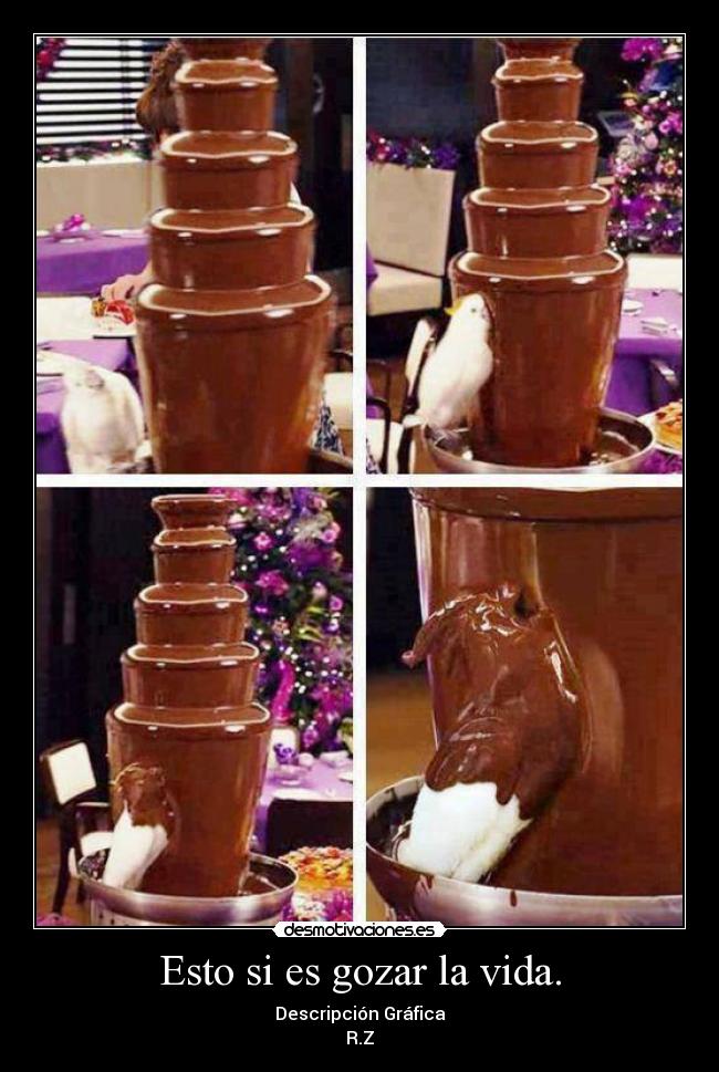 Esto si es gozar la vida. - Descripción Gráfica
R.Z