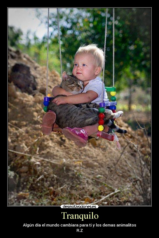 Tranquilo - Algún día el mundo cambiara para ti y los demas animalitos
R.Z