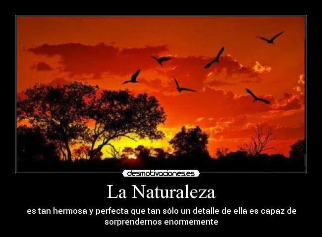 La Naturaleza | Desmotivaciones
