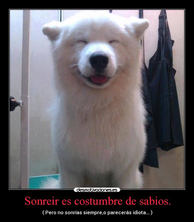 Sonreir es costumbre de sabios. - 