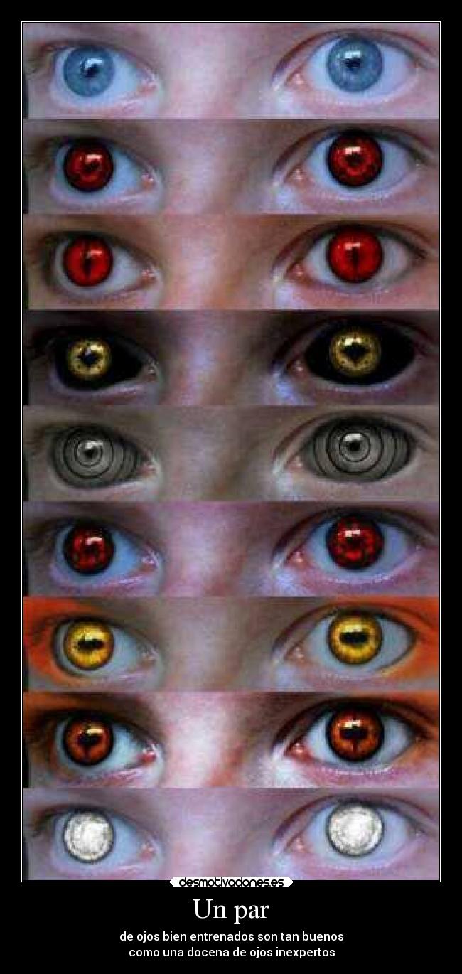 Un par - de ojos bien entrenados son tan buenos
como una docena de ojos inexpertos