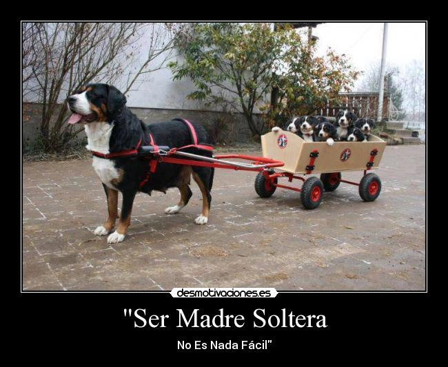 Ser Madre Soltera - No Es Nada Fácil