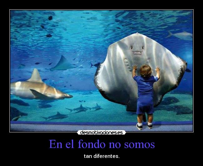 En el fondo no somos - tan diferentes.