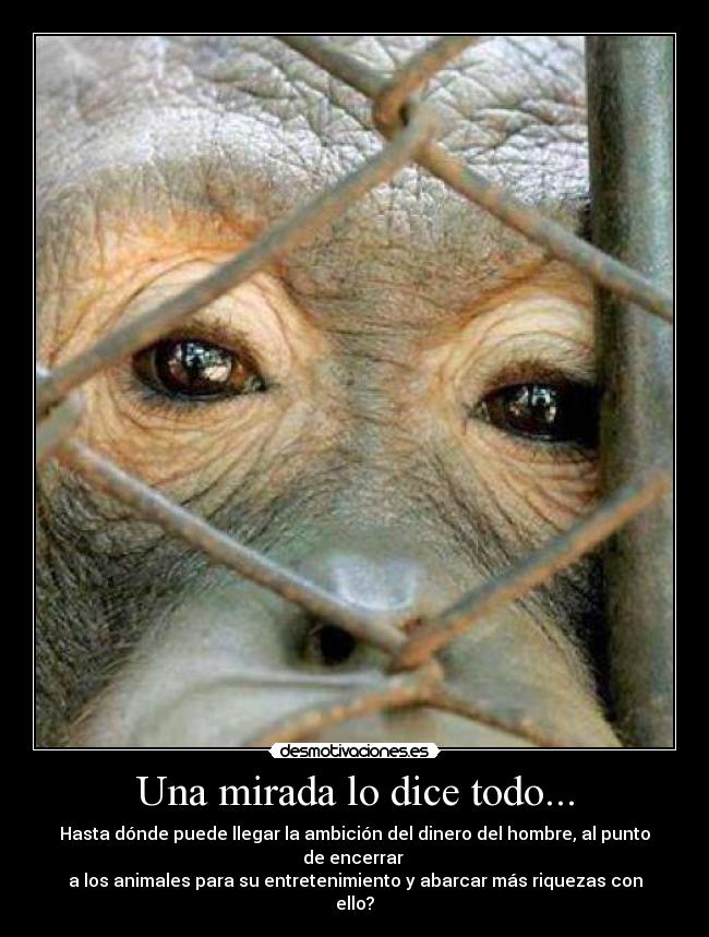 Una mirada lo dice todo... -