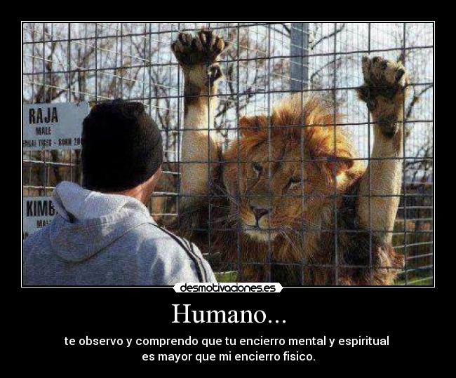 Humano... -
