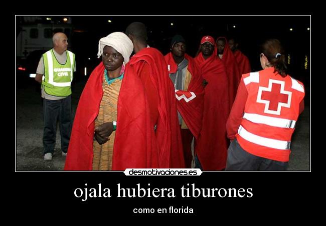 ojala hubiera tiburones - como en florida