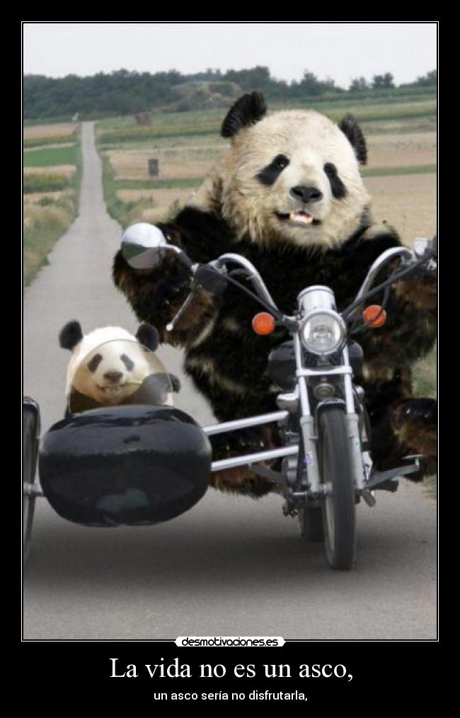 La vida no es un asco, - un asco sería no disfrutarla,
