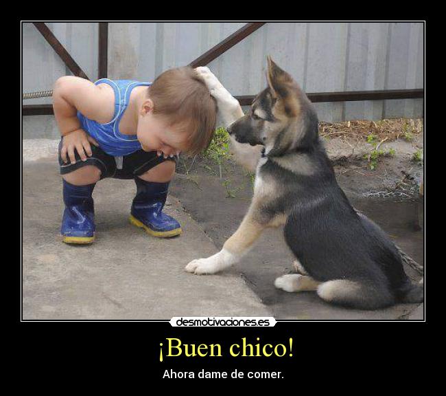 ¡Buen chico! -