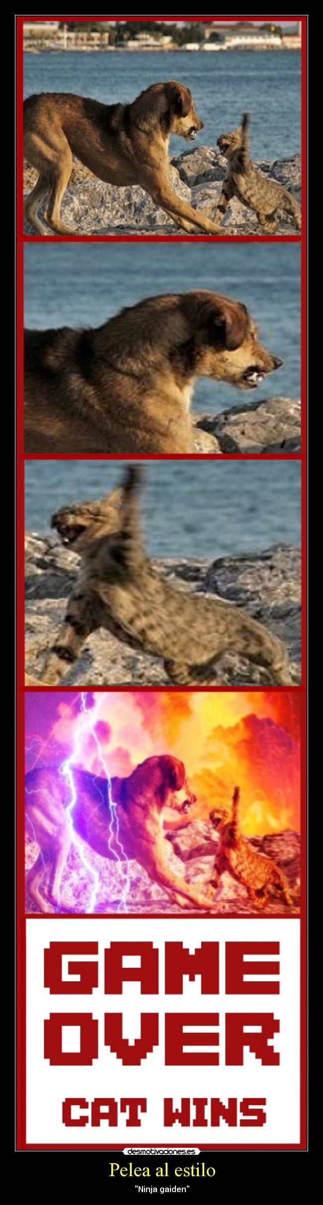 Pelea al estilo - Ninja gaiden