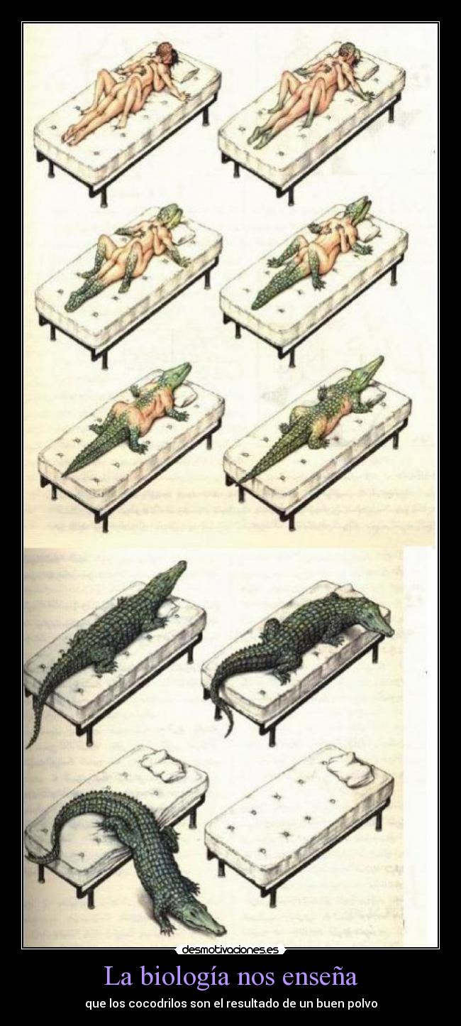 La biología nos enseña - que los cocodrilos son el resultado de un buen polvo