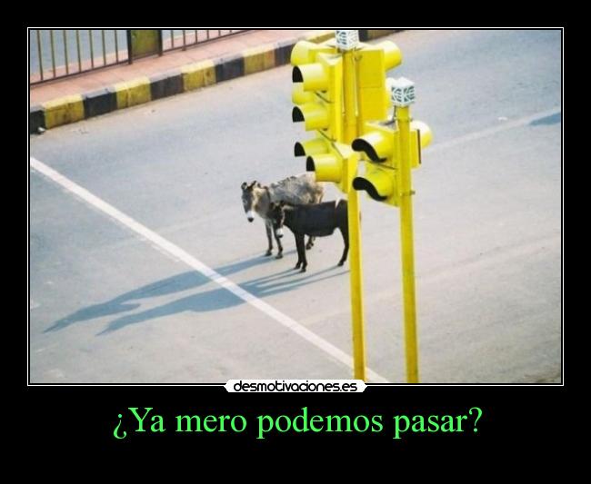 ¿Ya mero podemos pasar? - 