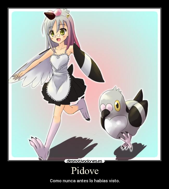 Pidove -