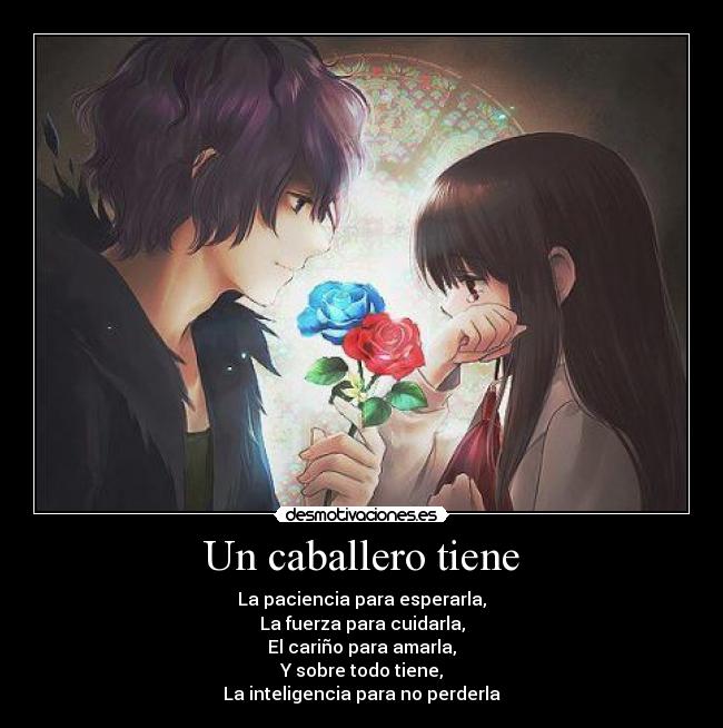 carteles anime rosa caballero amar amor carino lagrimas mujer inteligencia paciencia flor tristeza desmotivaciones