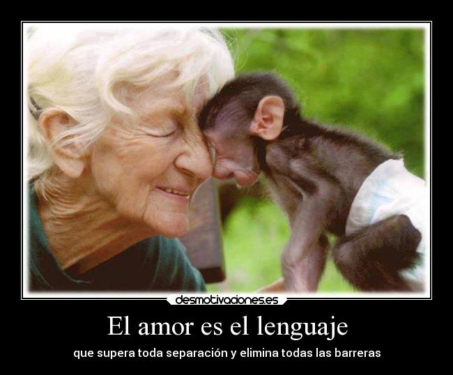 El amor es el lenguaje - que supera toda separación y elimina todas las barreras
