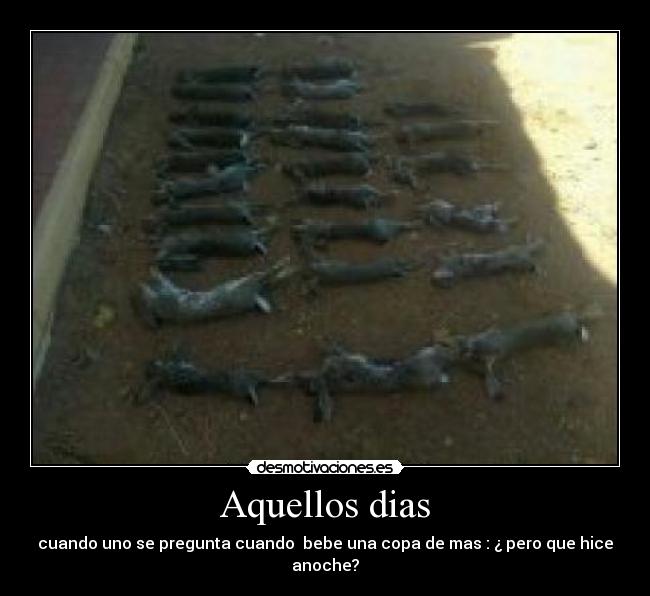 Aquellos dias - cuando uno se pregunta cuando bebe una copa de mas : ¿ pero que hice anoche?