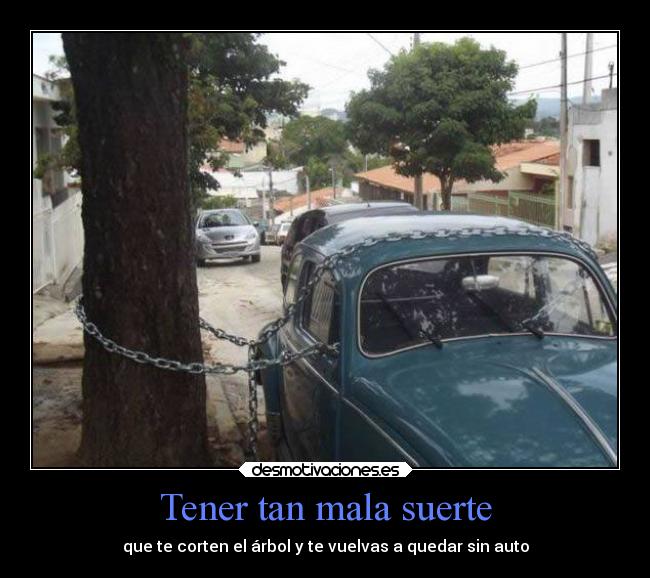Tener tan mala suerte - que te corten el árbol y te vuelvas a quedar sin auto