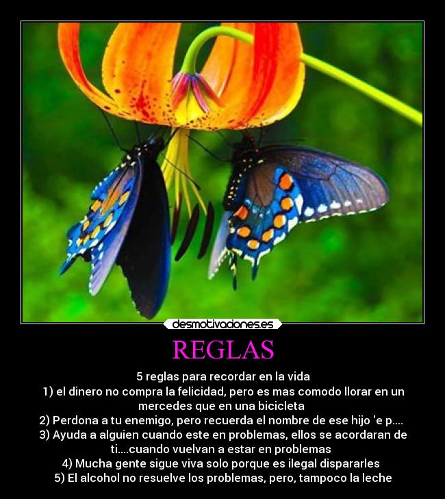 REGLAS -