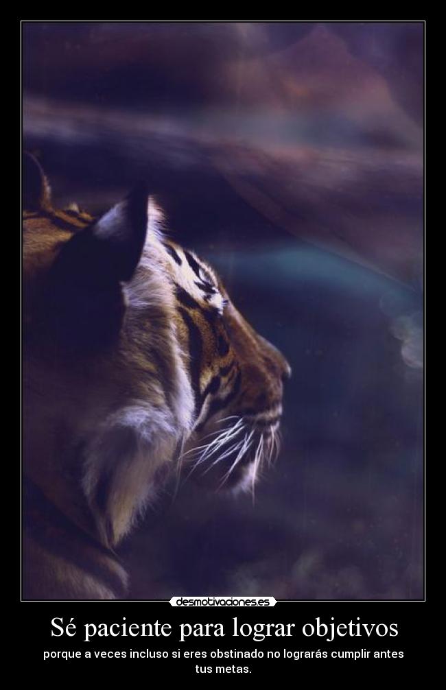 Sé paciente para lograr objetivos -