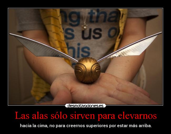 Las alas sólo sirven para elevarnos - 