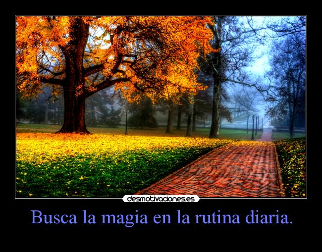 Busca la magia en la rutina diaria. -