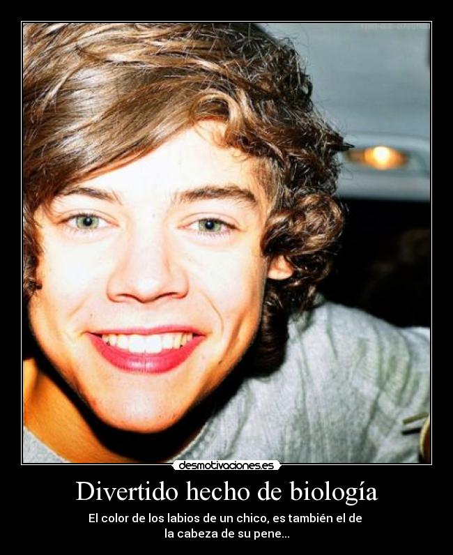 carteles directioners desmotivaciones