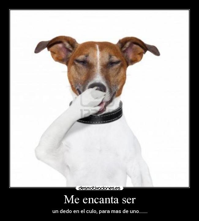 Me encanta ser - un dedo en el culo, para mas de uno.......