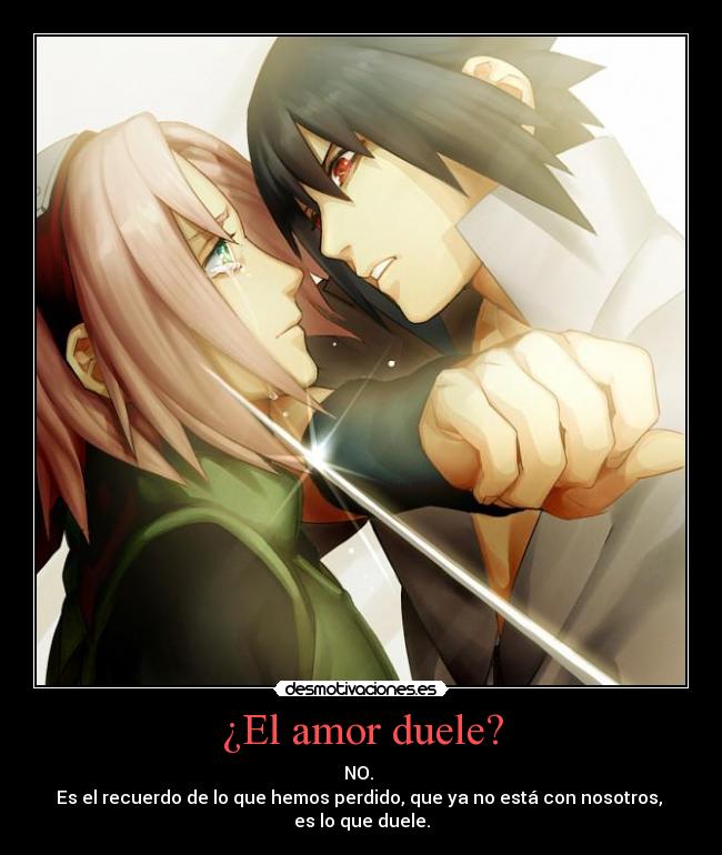 ¿El amor duele? - NO.
Es el recuerdo de lo que hemos perdido, que ya no está con nosotros,
es lo que duele.