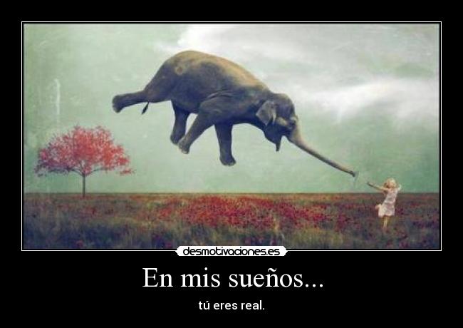 En mis sueños... - tú eres real.