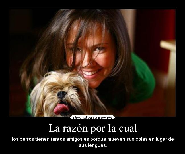 La razón por la cual -