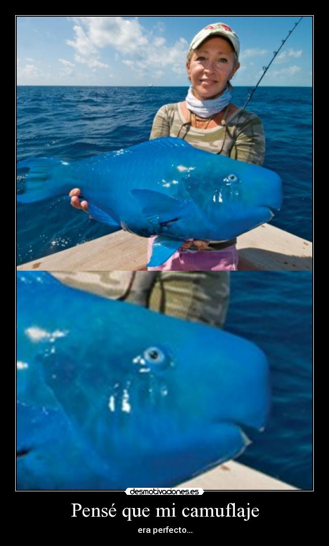 Pensé que mi camuflaje - era perfecto...