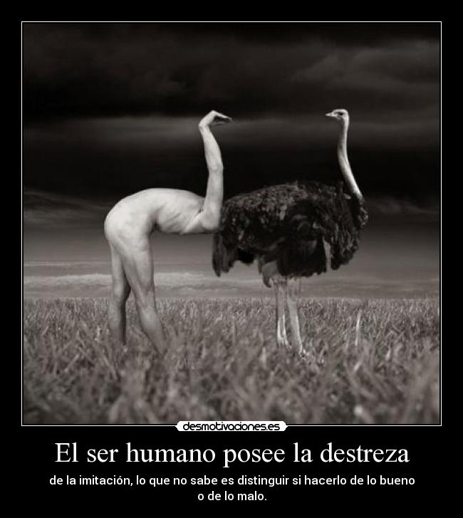 El ser humano posee la destreza -