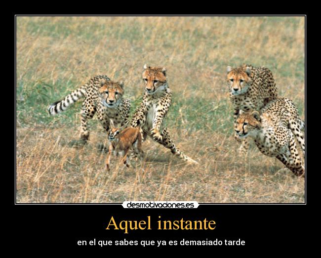 Aquel instante - en el que sabes que ya es demasiado tarde