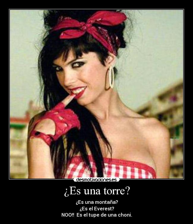 ¿Es una torre? - ¿Es una montaña?
¿Es el Everest?
NOO!! Es el tupe de una choni.