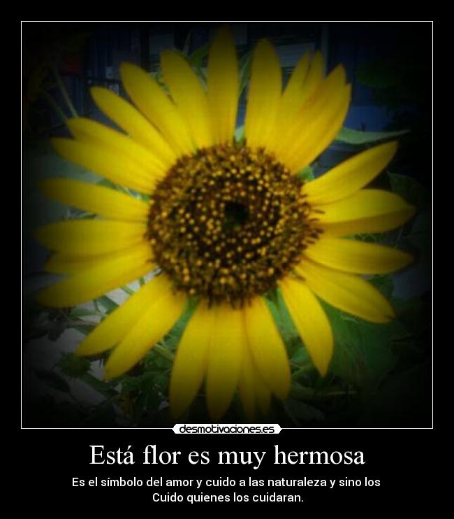 Está flor es muy hermosa - Es el símbolo del amor y cuido a las naturaleza y sino los
Cuido quienes los cuidaran.