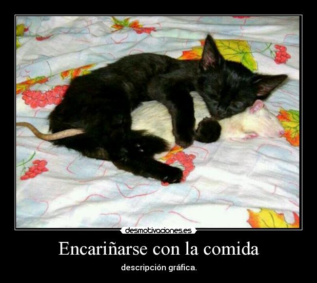 carteles comida comida desmotivaciones