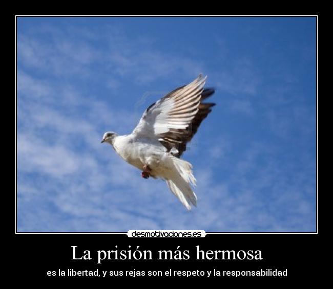 La prisión más hermosa - es la libertad, y sus rejas son el respeto y la responsabilidad