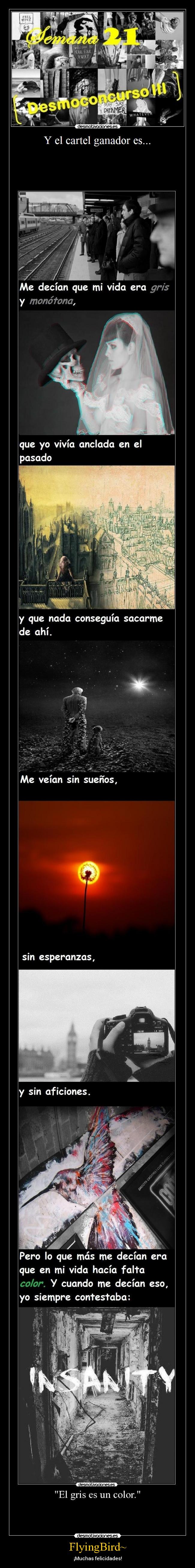 FlyingBird~ - ¡Muchas felicidades!