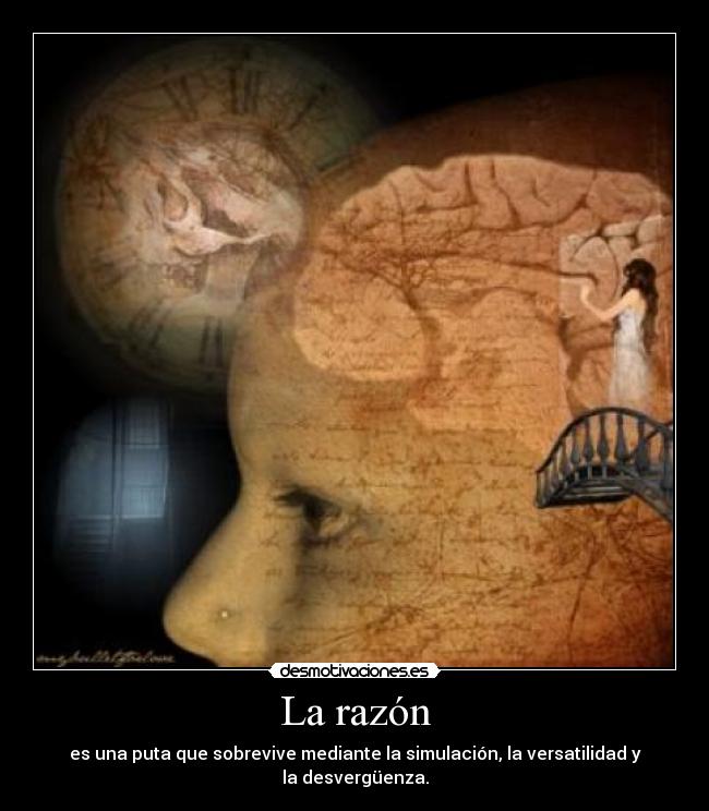 La razón - es una puta que sobrevive mediante la simulación, la versatilidad y la desvergüenza.