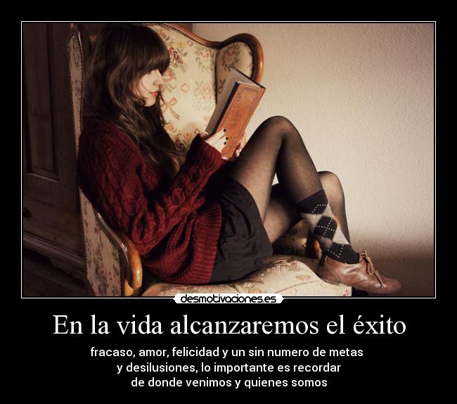 carteles vida vida alcanzaremos exito desmotivaciones