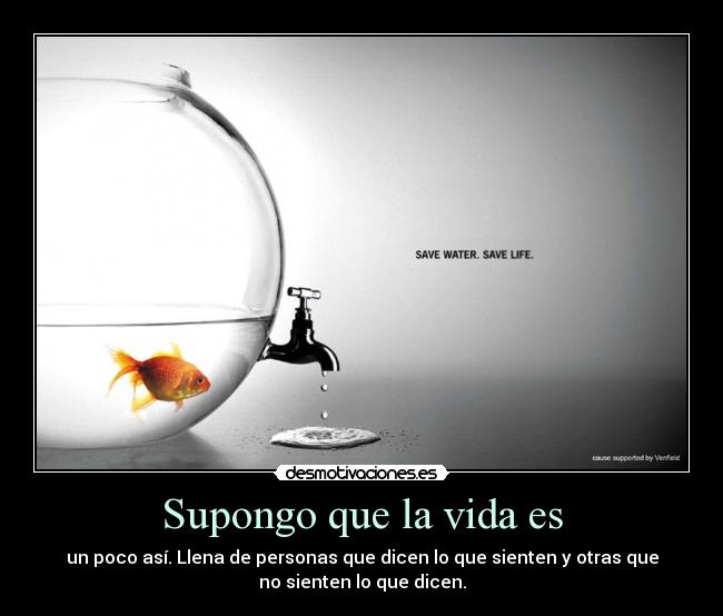 Supongo que la vida es -